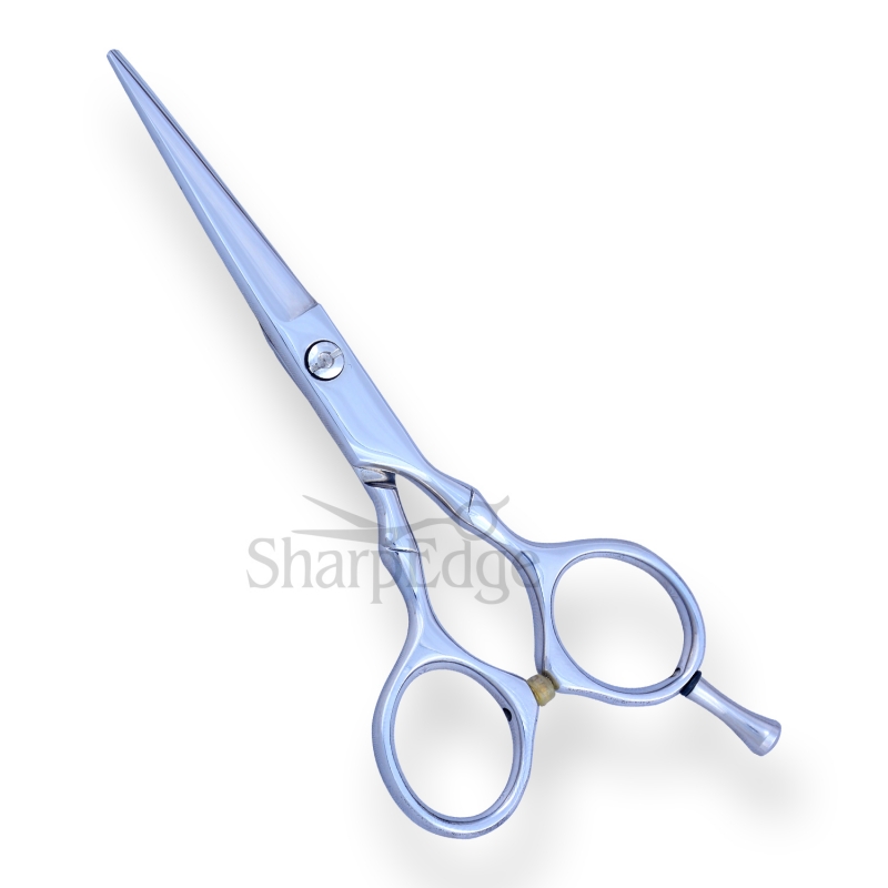 Professional Hair Dressing Scissors 